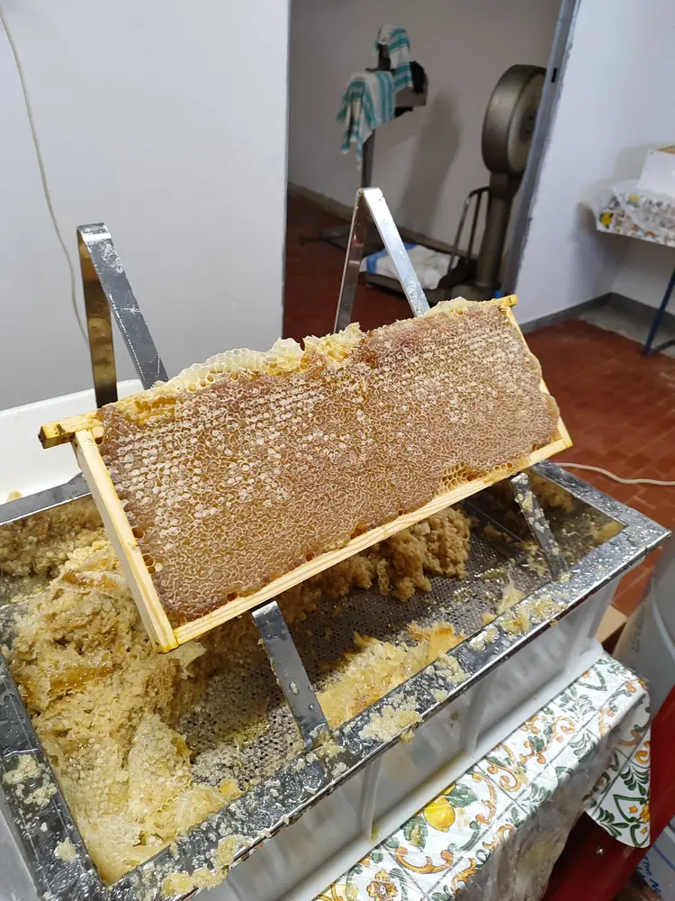 Telaino di favo pronto per la smielatura