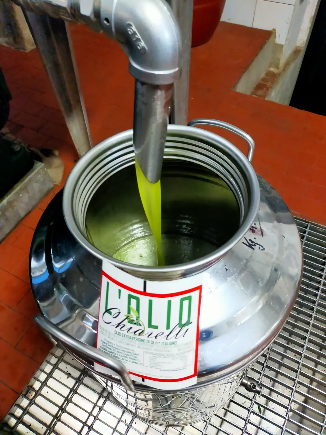 L'olio nuovo che cola dal frantoio dentro la stagna Chiarelli
